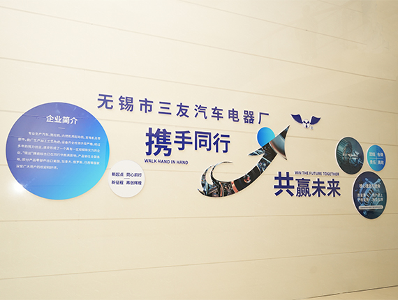 کارخانه برق خودرو Wuxi Sanyou